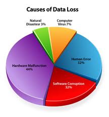 lost data-pie chart
