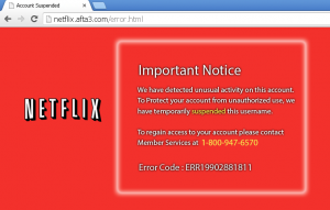 Netflix unauthorized activity