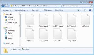 exotic-ransomware-encryption